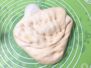 12、全麦豆沙面包,面团拿出排气。