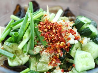 13、黄瓜腐竹拌木耳,最上面放葱段、蒜末、辣椒面和芝麻