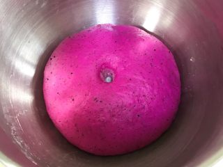 8、火龙果麻薯面包,面团发至2～2.5倍大，手指沾面粉戳孔，不塌陷不回弹即可。