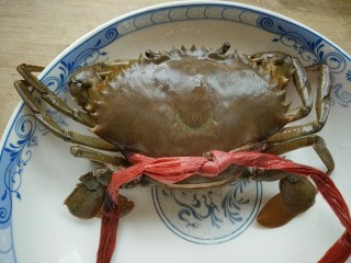 6、早餐螃蟹海鲜粥,螃蟹一只