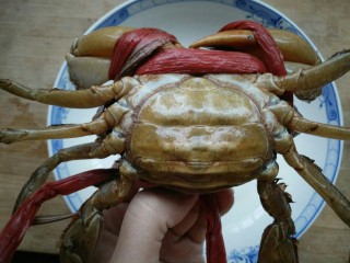 7、早餐螃蟹海鲜粥,这是一只怀孕的螃蟹，我们叫它赤蟹