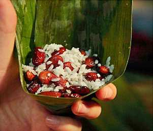 5、红豆肉粽,处理好的叶子卷成漏斗状，加糯米到漏斗的一半