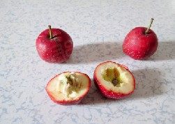 2、银耳雪梨红果羹 ,红果洗净去核