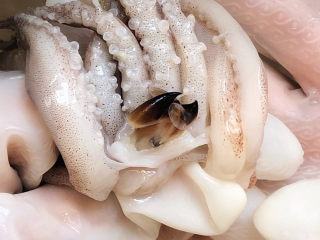 1、干贝海鲜粥,鱿鱼头去掉牙齿, 搓洗干净爪里泥沙