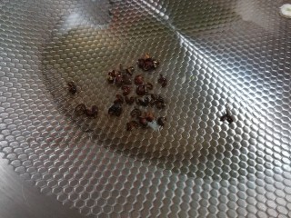 9、麻辣土豆片,锅里放油，小火，放入花椒略煸出香味。不喜欢花椒粒在菜里的，可以把花椒粒捞出来。