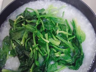 9、菠菜猪肝粥,加入焯好水的菠菜。