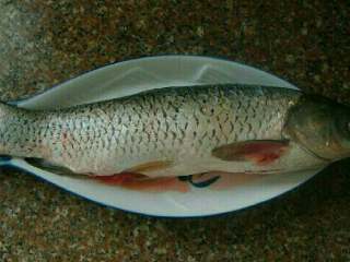 1、麻辣水煮鱼,一条草鱼