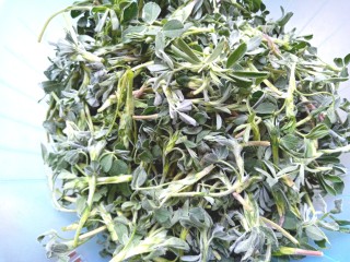 1、苜蓿菜饼,取120克苜蓿