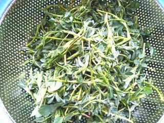 2、苜蓿菜饼,清香干净，控水