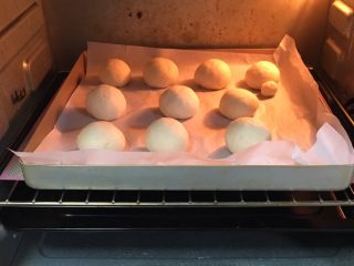 31、奶黄馒头,移至烤箱静置20分钟。