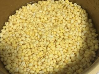 3、冰镇木糖醇绿豆糕,放入高压锅，放跟豆子一样平的水蒸二十分钟