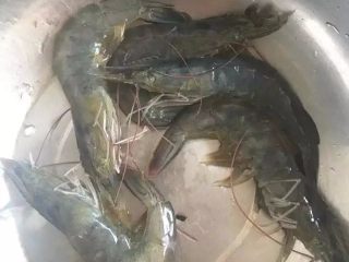 4、【虾仁海鲜粥】熨帖家人的胃, 在捷赛锅熬粥的时候，准备虾仁。