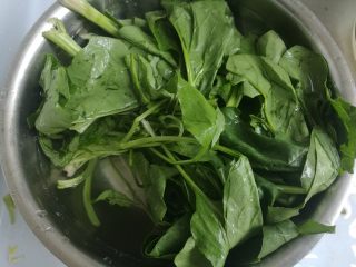 1、凉拌什锦菠菜,菠菜择洗干净，放进盐水中浸泡10分钟。