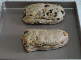 9、圣诞史多伦,将面团分成两份，摆在不沾烤盘里。