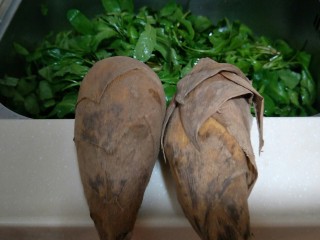11、从零开始包馄钝—荠菜冬笋虾皮鲜肉馄钝,准备两颗冬笋。