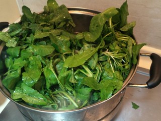 18、从零开始包馄钝—荠菜冬笋虾皮鲜肉馄钝,洗好的齐菜放入锅中。