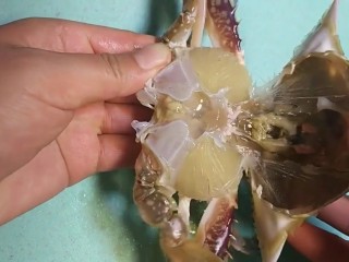 3、早餐海蟹海鲜粥,切去外壳