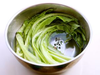2、风味凉拌油麦菜,先过两次清水洗去尘土,再浸泡在淡盐水中约十五分钟。然后再用纯净水洗净。因为咱们这道菜要生拌,以保持它最大化的营养,所以一定要清洗干净。