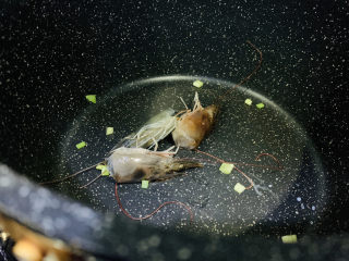 3、鲜虾砂锅粥,做虾饼的鲜虾的虾头,这会用上了,虾头和葱白一起炒香;