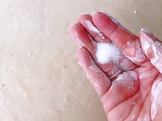 10、全麦香葱花卷,洒盐抹匀