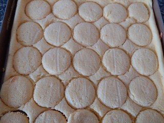 11、肉松小贝,完全冷却后，用原形杯口抠出圆形，我用瓶盖扣的。