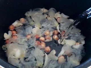 4、百变水果 汤圆银耳甜汤,加水约800毫升。