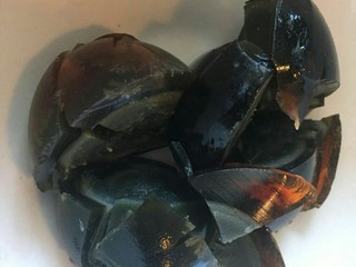 9、香滑皮蛋培根粥,切好的皮蛋。