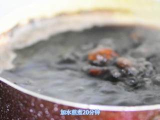 3、百合药食两用，大有不同,桑椹、百合加水煎煮20分钟。