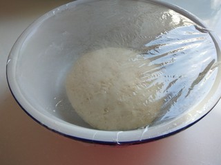 9、新文美食  羊肉胡萝卜包子,合成面团封上保鲜膜等着发酵。