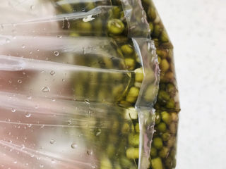 5、绿豆小米粥,连豆带少量水倒进食品保鲜袋；