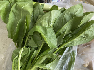 6、猪肝瘦肉粥,菠菜洗干净，有猪肝放一点菠菜也很好。