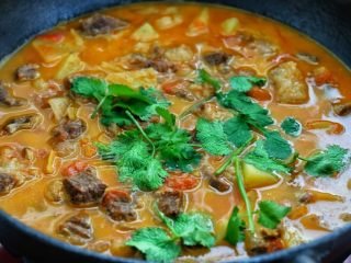 12、西红柿土豆炖牛肉,按照个人口味调入适量的盐，最后撒入香菜段关火即可。