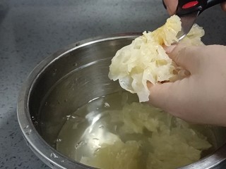6、银耳小米粥,泡发的银耳去除根部