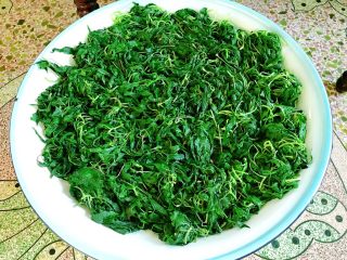 6、潮汕+炒麻叶,依次做好所有的麻叶，放在大盘中，用风扇吹一下，使水分更干。吹凉以后可以分成几份放入冰箱，需要炒就拿一份出来。