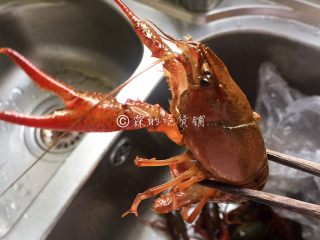 1、小龙虾鲜笋咸蛋黄烧卖,孔武有力、张牙舞爪的主角。