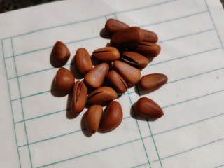 1、牛奶燕麦粥,松子几个