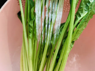 2、菠菜猪肝粥,洗净