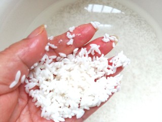 2、蔓越莓米糕,米泡的用手搓一下就碎了，米就泡好了