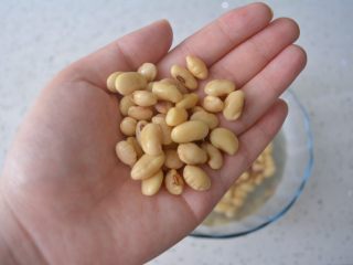 3、#食二星座#原味豆浆粥,黄豆泡好后的样子，体积增大！