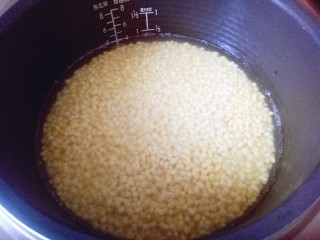3、绿豆糕,泡了一夜的绿豆倒入电饭煲中，加入少量的水，略高过绿豆一点点即可。