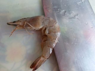 6、海鲜粥,将大白虾用刀开背