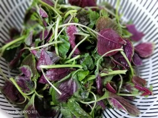 3、苋菜豆腐咸粥,煮粥的时间，红苋菜摘取叶子部分清洗干净