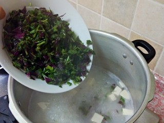 8、苋菜豆腐咸粥,然后放红苋菜