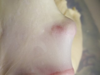 5、汉堡包,出手套膜