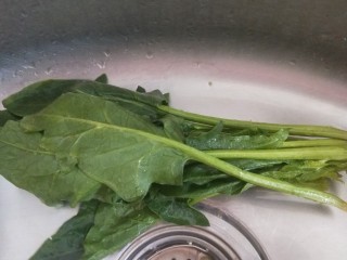 15、鸡肉山药粥,菠菜一颗洗干净。