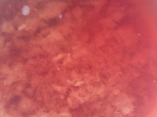 1、番茄牛肉粥,牛肉剁肉沫，泡散，备用！