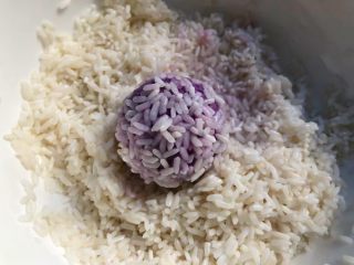 9、紫薯糯米丸子,把紫薯面团分成大小一样的小面团，戴上手套，用手心把小面团揉成小丸子，再放到糯米里转一圈，均匀的裹上糯米。