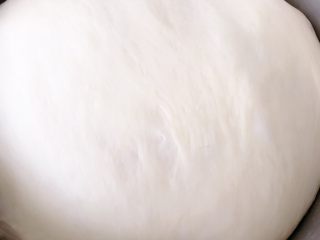 10、盐面包,发好的面团