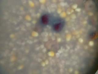 2、#红豆，薏米，玉米粒，大麦，红枣，山楂，解暑汤#,放水浸泡一个半小时