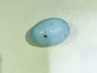 6、健脾养胃粥,皮蛋一个